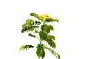 3X0A9387 .webp