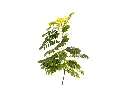 3X0A9358 .webp