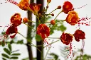 3X0A9580 .webp