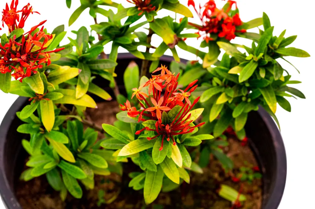 3X0A9778-1.webp
