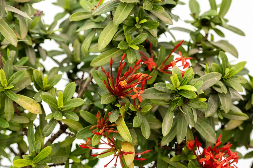 3X0A9719 .webp