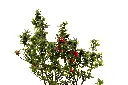 3X0A9718 .webp