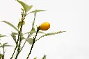 3X0A9684 .webp