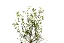 3X0A9683 .webp