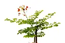 3X0A9576 .webp