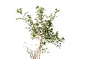 3X0A9678 .webp