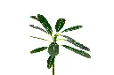 3X0A9399 .webp