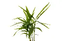 3X0A9830 .webp