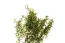 3X0A9818 .webp