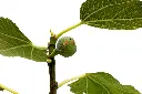 3X0A9559 .webp
