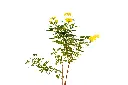 3X0A9324 .webp