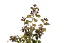 3X0A9801 .webp