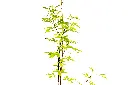 كف مريم خماسي3.webp