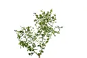 3X0A9724 .webp