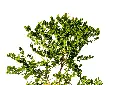 3X0A9251-1.webp