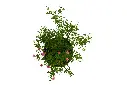 compressed_DSC00372 copy.webp