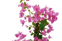 compressed_DSC00756 copy.webp