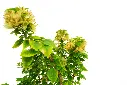 compressed_DSC00482 copy.webp