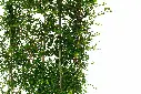 compressed_DSC00974 copy.webp
