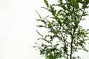 compressed_DSC00302 copy.webp