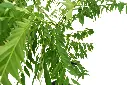 compressed_DSC00849 copy 2.webp