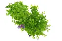 compressed_DSC00885 copy.webp