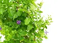compressed_DSC00881 copy.webp