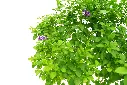 compressed_DSC00827 copy.webp