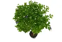compressed_DSC00832 copy.webp