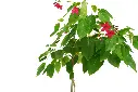 compressed_DSC00813 copy.webp