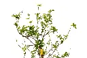3X0A9587 .webp