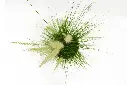 compressed_DSC00553 copy.webp