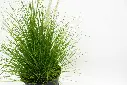 compressed_DSC00565 copy.webp
