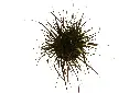compressed_DSC00545 copy.webp
