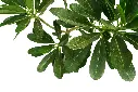 compressed_DSC00915 copy.webp