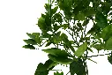compressed_DSC00966 copy.webp