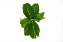 compressed_DSC00627 copy.webp