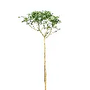 product2-1.webp
