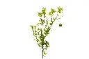 3X0A9627 .webp