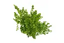 compressed_DSC00245 copy.webp