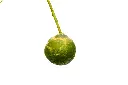 3X0A9628 .webp