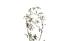 3X0A9814 .webp