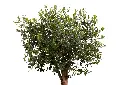 3X0A9526 .webp