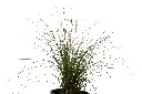3X0A9763 .webp