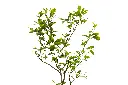 3X0A9503 .webp