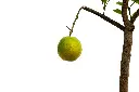 3X0A9500 .webp
