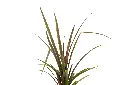 3X0A9729 .webp