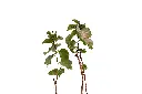 3X0A9565 .webp