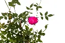 3X0A9791 .webp