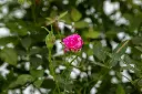 3X0A9712 .webp